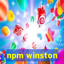 npm winston